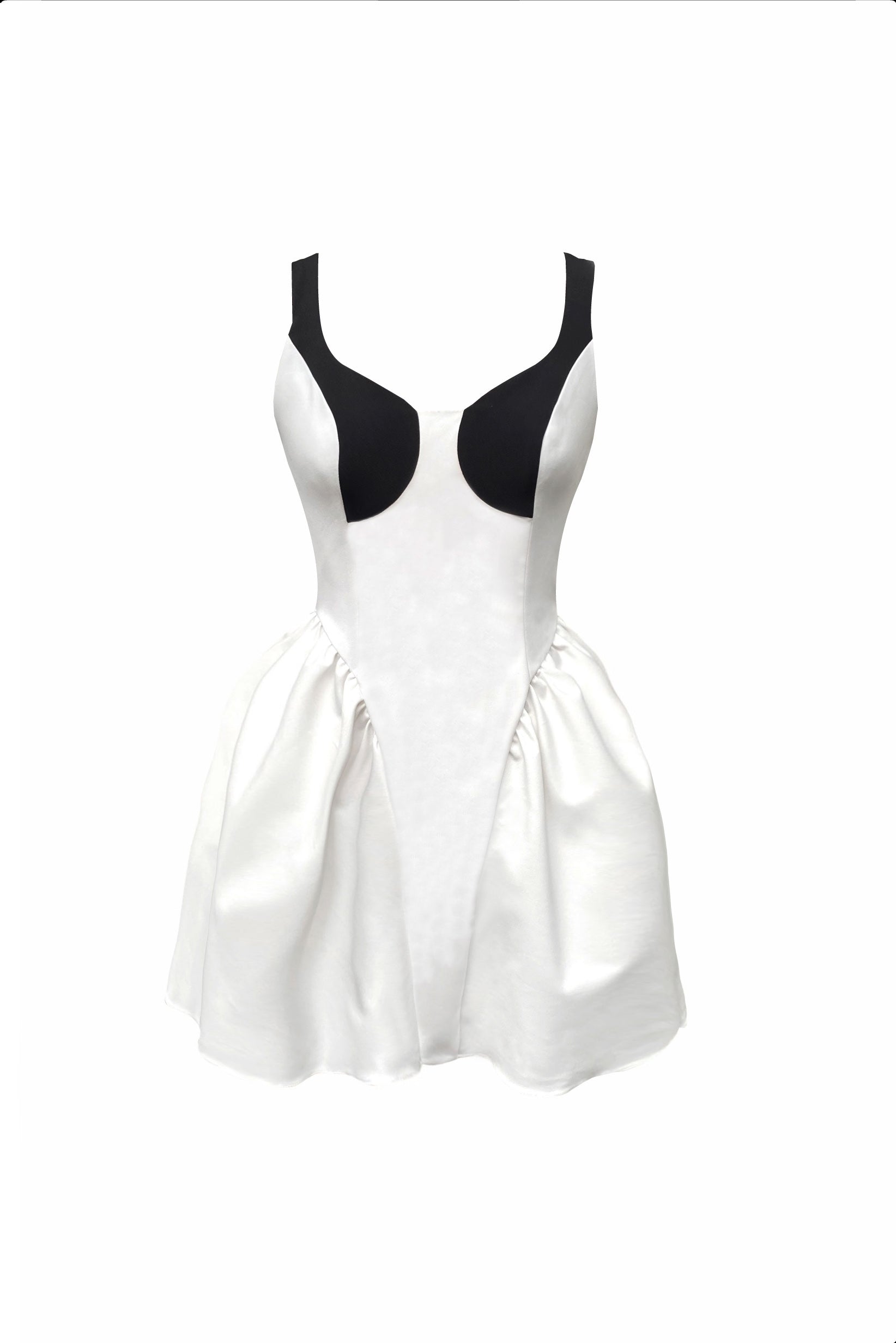 Cisne Mini Dress